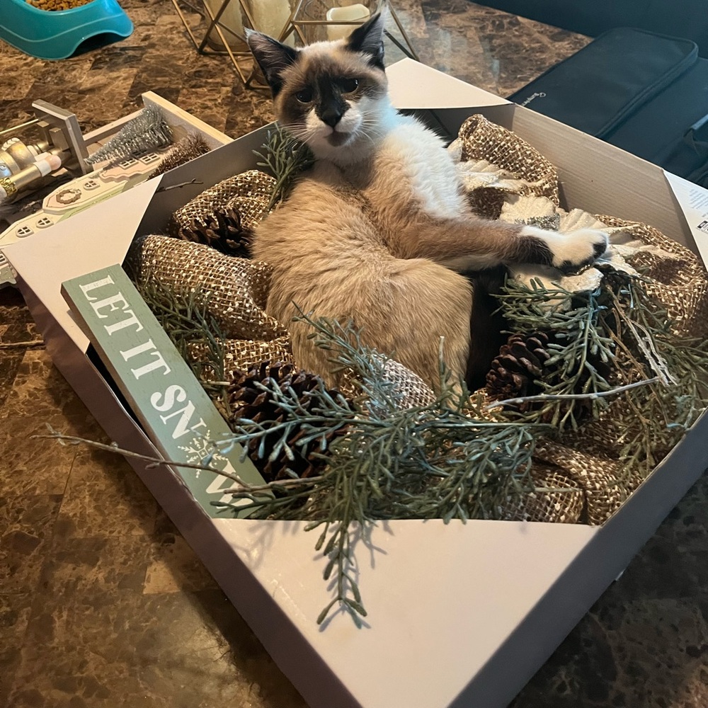 Meet your Posher, Brooke